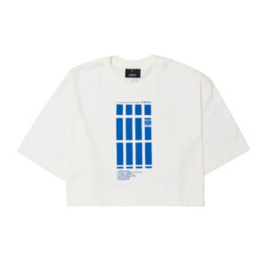 cropped-bauhaus-afim-azul-ze-ibarra