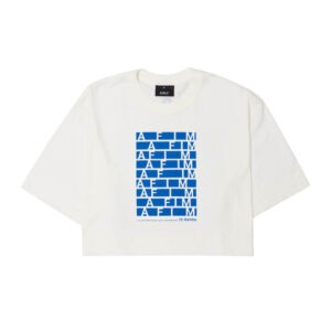 cropped-rt-afim-azul-ze-ibarra